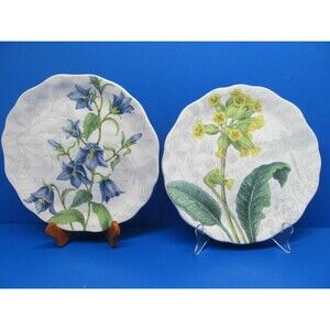 Pier 1  Flower Motifs Botanical Floral Textured Scalloped 9" Salad Plates (2)